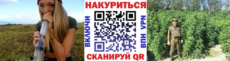 где продают   Каменка  Каннабис тримм 